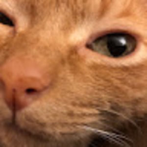 Meet your Posher, Tina